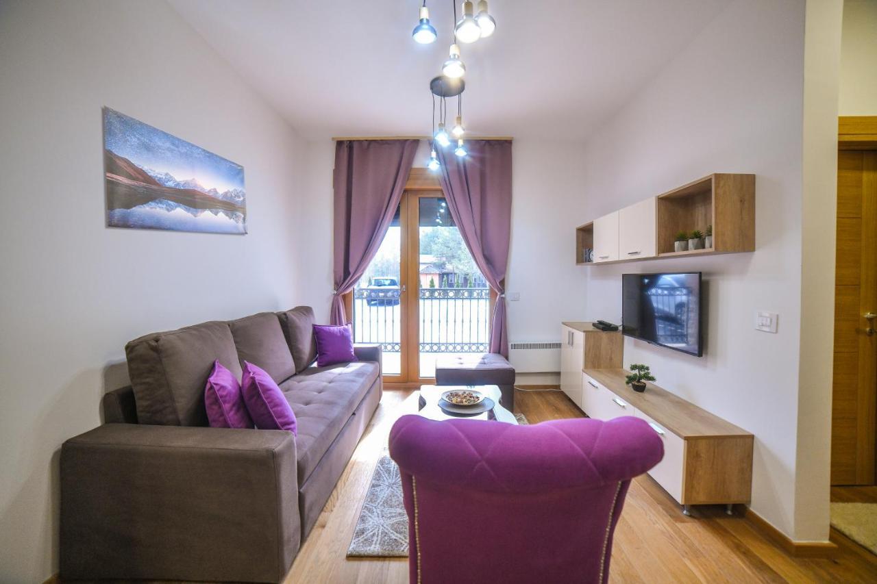 Vila Elsa Apartmani Kosta Todorovic Zlatibor Exteriér fotografie